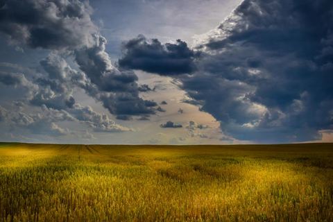Agropecuario y agroindustrial